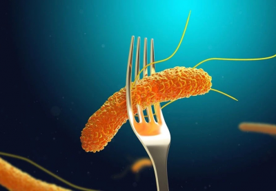 TP.HCM: Đã tìm ra 'thủ phạm' khiến hơn 80 người ngộ độc sau ăn bánh mì 