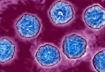 Đức: Phát hiện virus bại liệt hoang dã tái xuất sau hơn 30 năm 