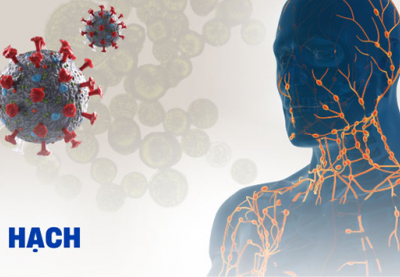 Nguy cơ nhiễm lao hạch ở người suy giảm miễn dịch