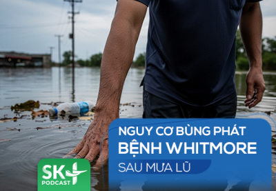 Podcast: Nguy cơ bùng phát bệnh Whitmore sau mưa lũ