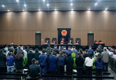 Xét xử vụ án nhận hối lộ xảy ra tại Cục An toàn thực phẩm