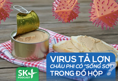 Podcast: Virus tả lợn châu Phi có “sống sót” trong đồ hộp?