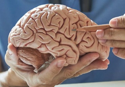 Ca mắc sa sút trí tuệ trẻ nhất nước Anh hiến não cho y học