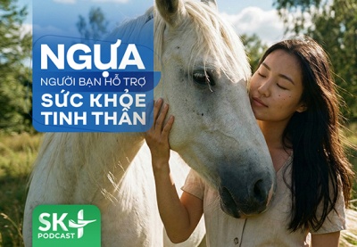 Podcast: Ngựa – người bạn hỗ trợ sức khỏe tinh thần
