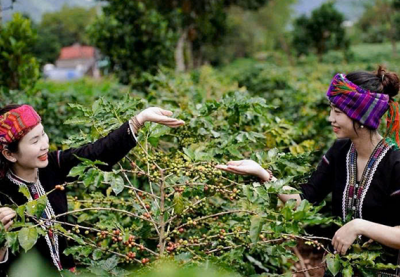 Du lịch Quảng Trị ngoài những điểm đến quen thuộc! (P2)