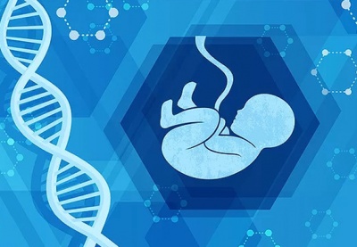 Khi y học bào thai viết tiếp sự sống