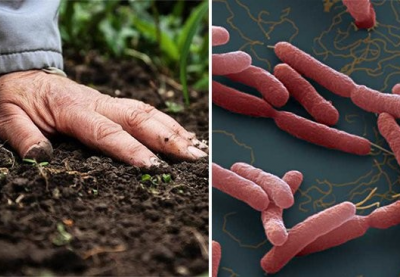 Căn bệnh khiến 23 người tử vong ở Thái Lan, Bộ Y tế ra khuyến cáo khẩn