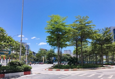 Bắc Bộ sắp có mưa giải nhiệt
