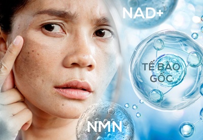 Nguy cơ từ làm đẹp bằng NMN, NAD+ và tế bào gốc