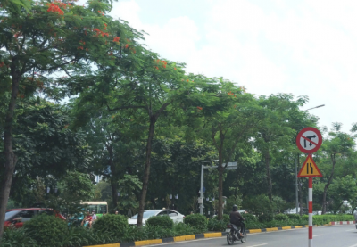 Vừa qua Lập Thu, nền nhiệt miền Bắc đã tăng nhẹ