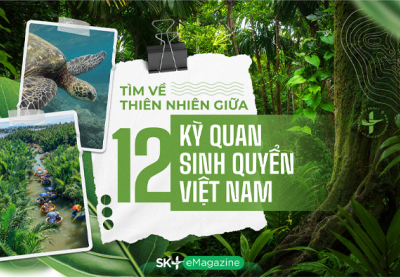 Tìm về thiên nhiên giữa 12 kỳ quan sinh quyển Việt Nam