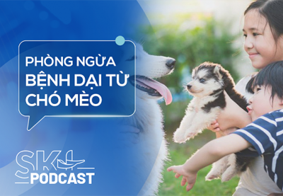 Podcast: Không chủ quan với bệnh dại từ chó, mèo nhà