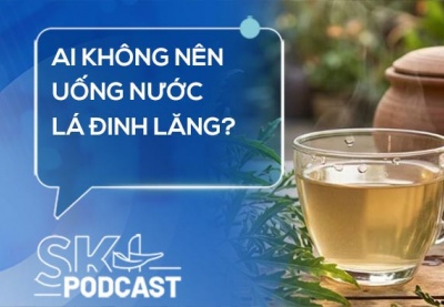 Podcast: Ai không nên uống nước lá đinh lăng?