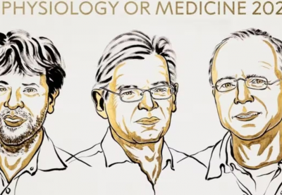 Nobel Y sinh 2026: Vinh danh 3 nhà khoa học dùng ánh sáng 'giải mã' não bộ