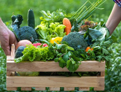 Lợi ích từ việc ăn uống theo mùa