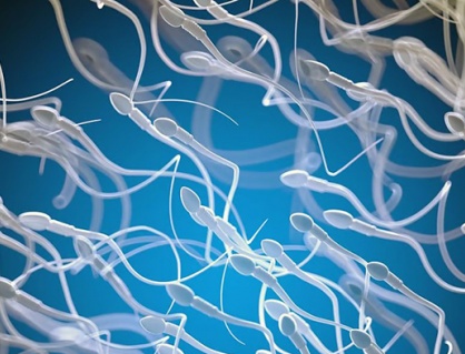 Ca mang thai đầu tiên nhờ AI phân tích tinh trùng