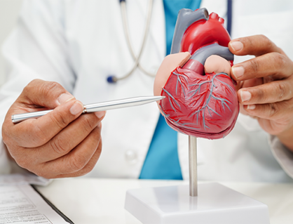 Hẹp van động mạch chủ không triệu chứng đã cần điều trị chưa?