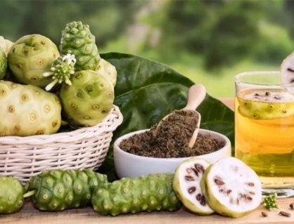 Trị đái tháo đường bằng quả nhàu có tốt không?