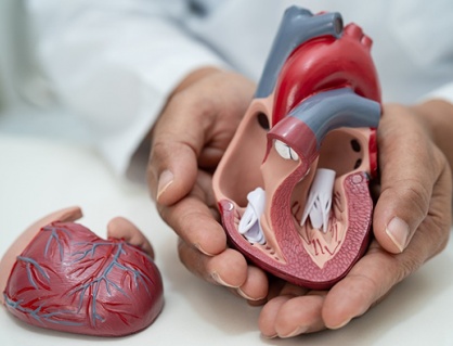 Hẹp van tim có chữa khỏi được không: Sự thật ít ai nói rõ!