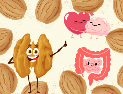 Infographic: Quả óc chó - Lợi ích và những điều cần lưu ý