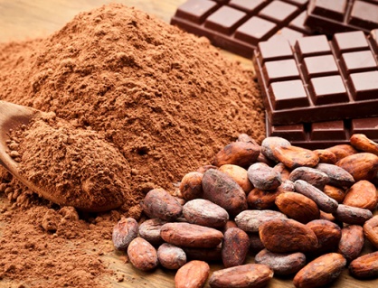 Cacao và chocolate: “Vũ khí tự nhiên” giúp bảo vệ sức khỏe