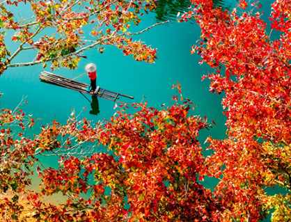 Tới Cao Bằng ngắm “mùa lá đỏ” đẹp nhất năm