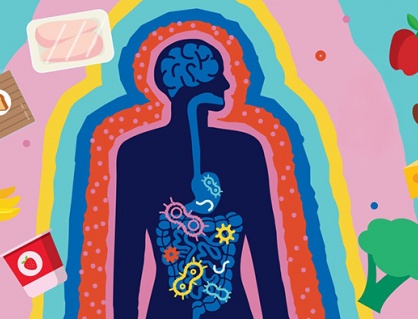 6 thói quen ăn uống khiến hệ vi sinh đường ruột suy yếu