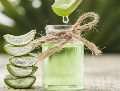 Nước ép lô hội: Bạn đồng hành của hệ tiêu hoá