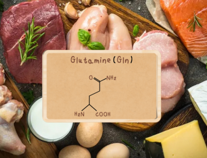 Glutamine: Dưỡng chất giúp dân thể thao phục hồi nhanh chóng