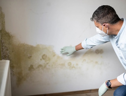 Thói quen nhỏ giúp ngăn ngừa nấm mốc trong nhà vào mùa Đông 