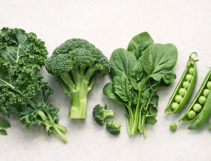 Infographic: 4 nguồn bổ sung protein từ thực vật