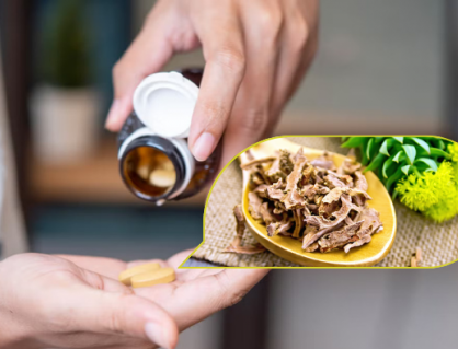 Chiết xuất rễ vàng - hỗ trợ đắc lực cho vận động viên thể hình