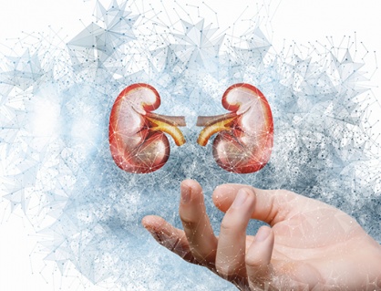 Suy thận độ 3: Giải pháp hỗ trợ làm chậm tiến triển bệnh