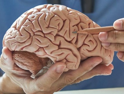 Ca mắc sa sút trí tuệ trẻ nhất nước Anh hiến não cho y học