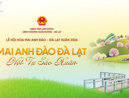 Infographic: Điểm nhấn tại Lễ hội Hoa mai anh đào Đà Lạt 