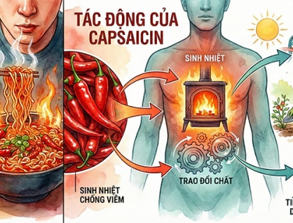 Ăn cay ảnh hưởng thế nào đến quá trình trao đổi chất và tuổi thọ?
