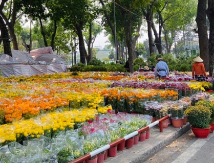 Tết 2026 chưng hoa gì để đón tài lộc và may mắn?