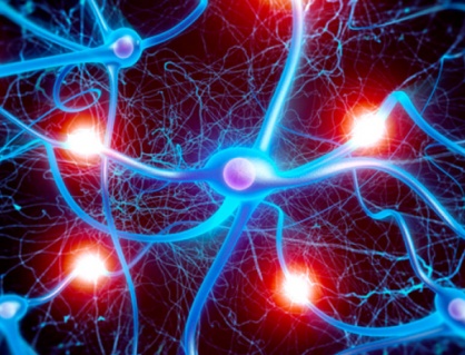 Run do mất cân bằng dẫn truyền thần kinh: Hiểu đúng để xử lý