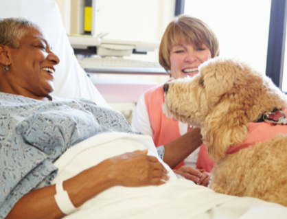 “Bạn đồng hành” đặc biệt của những người bệnh tâm thần