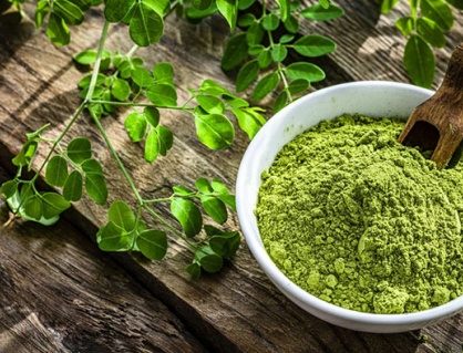 Công dụng chăm sóc sức khỏe đa năng của bột chùm ngây