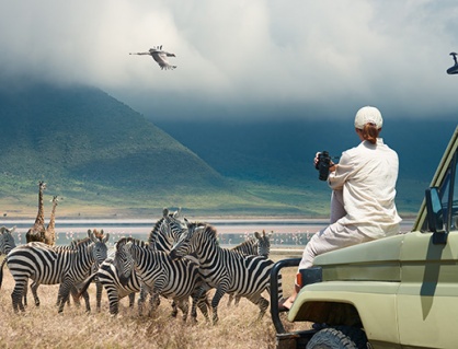 Chọn du lịch hoang dã có trách nhiệm để bảo tồn sinh thái