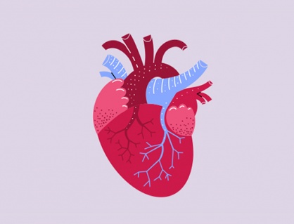 Tăng huyết áp và hở van tim nên điều trị thế nào?