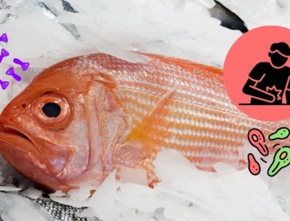 Độc tố ẩn mình trong các loài cá biển