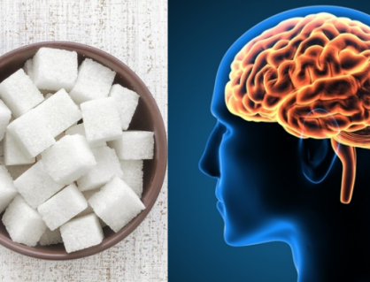 Não bộ thay đổi ra sao sau 1 tháng không ăn đường bổ sung?