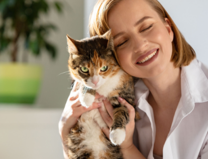 5 thói quen đơn giản giúp mèo cưng sống lâu và khoẻ mạnh