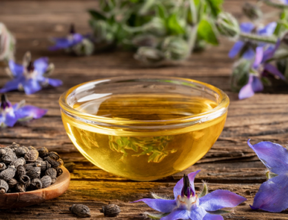 Cây lưu ly: Chứa thành phần hỗ trợ cải thiện da khô