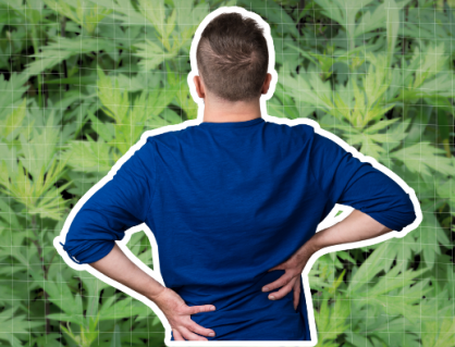 Mách bạn mẹo chữa đau lưng bằng ngải cứu đơn giản tại nhà