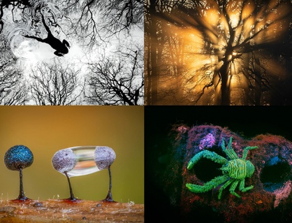 Những bức ảnh thiên nhiên hoang dã đẹp nhất nước Anh năm 2026