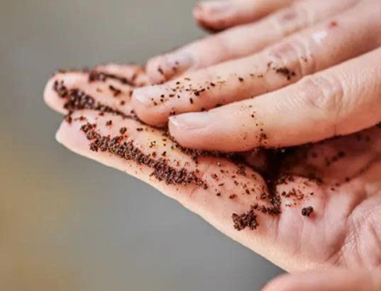 4 mẹo tận dụng bã cà phê dễ áp dụng