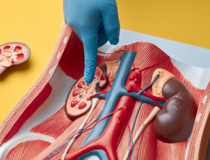 Suy thận độ 2: Chế độ dinh dưỡng giúp ngăn bệnh trở nặng